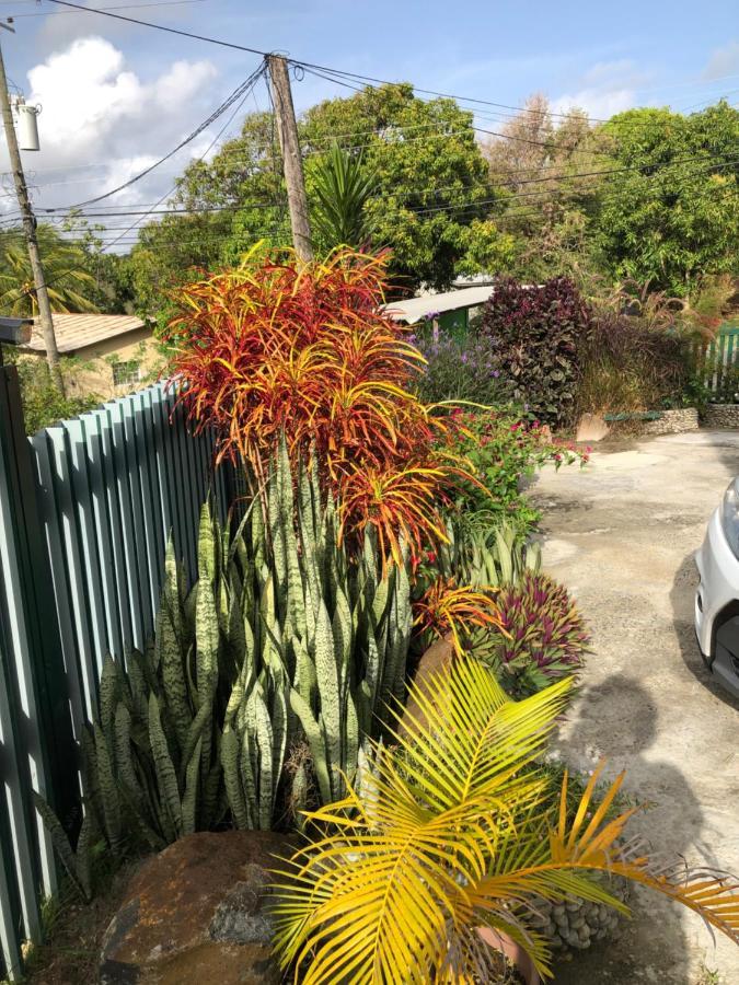 Aupicblue Apartment Vieux Fort Exterior photo